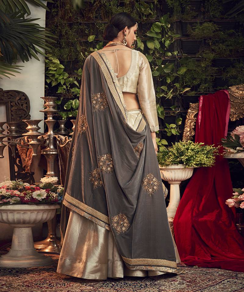 Chapagne Lehenga Set With Velvet Dupatta Shawl