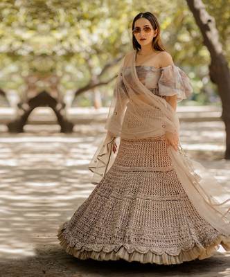 Brown Organza Embroidered Lehenga 2