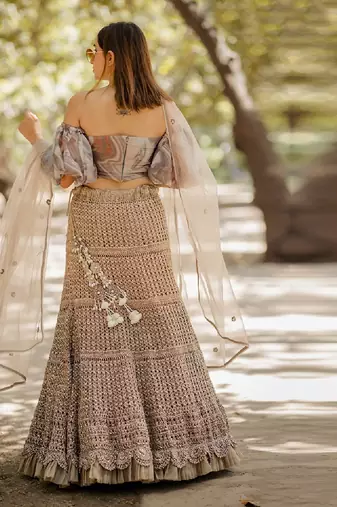 Brown Organza Embroidered Lehenga