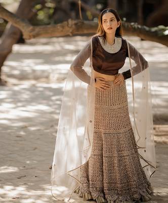 Brown  Embroidered Lehenga 1