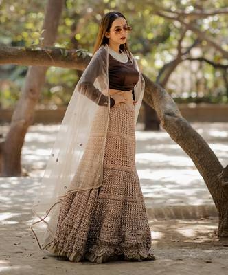 Brown  Embroidered Lehenga 2