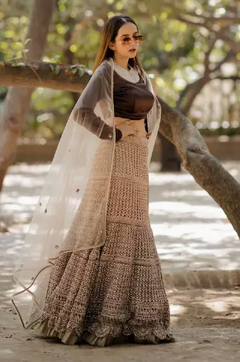 Brown  Embroidered Lehenga