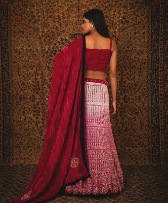 Pink Sultana Lehenga Set 2