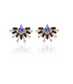 Blue And Brown In Gunmetalearring