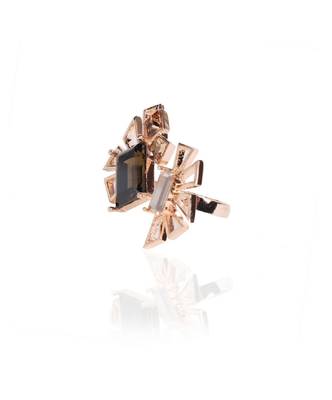 Brown Ring 2