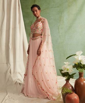 Pink Skirt Crop Top With Organza Dupatta 2