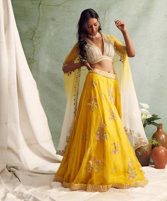Lehenga with blouse and cape 4