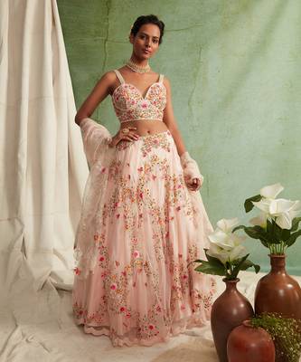 Organza Lehenga With Bustier And Dupatta 1