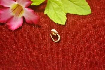 Gold Floral Designer Gold Plated diamond nose CLIPON nosering or nosepin 2