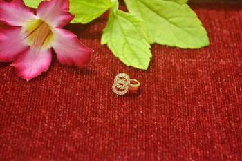 Gold Floral Designer Gold Plated diamond nose CLIPON nosering or nosepin 3