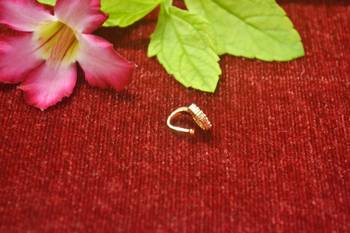 Gold Floral Designer Gold Plated diamond nose CLIPON nosering or nosepin 4
