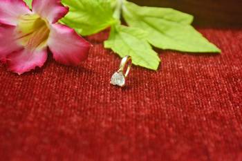Sizzling gold floral diamond nose accessory clipon nosering or nosepin 1