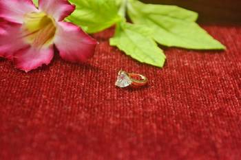 Sizzling gold floral diamond nose accessory clipon nosering or nosepin 2