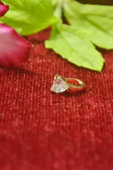 Sizzling gold floral diamond nose accessory clipon nosering or nosepin