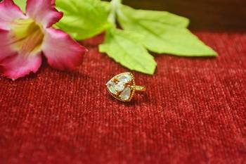 Sizzling gold floral diamond nose accessory clipon nosering or nosepin 1