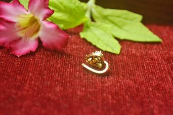 Sizzling gold floral diamond nose accessory clipon nosering or nosepin 2