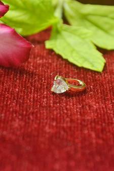 Shimmering gold floral diamond nose accessory clipon nosering or nosepin