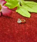 Shimmering gold floral diamond nose accessory clipon nosering or nosepin