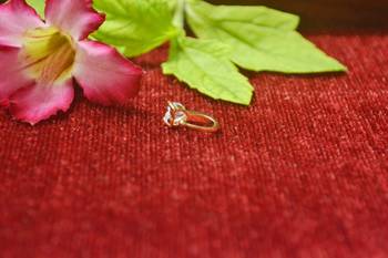 Shimmering gold floral diamond nose accessory clipon nosering or nosepin 2