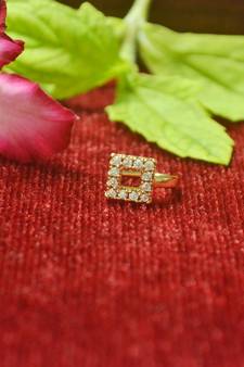 Twinkling gold floral diamond nose accessory clipon nosering or nosepin