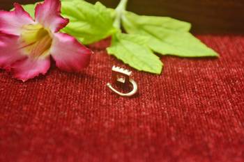Twinkling gold floral diamond nose accessory clipon nosering or nosepin 2