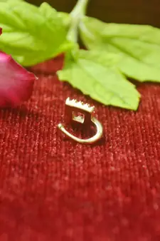 Twinkling gold floral diamond nose accessory clipon nosering or nosepin