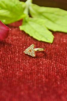 Twinkling gold floral diamond nose accessory clipon nosering or nosepin