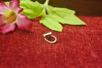 Twinkling gold floral diamond nose accessory clipon nosering or nosepin 2