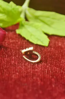 Twinkling gold floral diamond nose accessory clipon nosering or nosepin