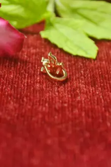 charming gold floral diamond nose accessory clipon nosering or nosepin
