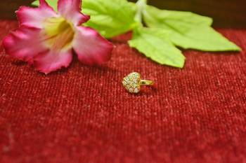charming gold floral diamond nose accessory clipon nosering or nosepin 1