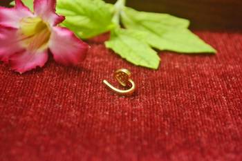 charming gold floral diamond nose accessory clipon nosering or nosepin 2