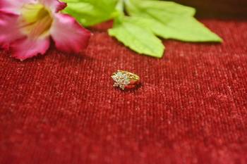  Charming gold floral diamond nose accessory clipon nosering or nosepin 1
