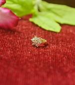  Twinkling chunky gold floral diamond nose accessory clipon nosering or nosepin