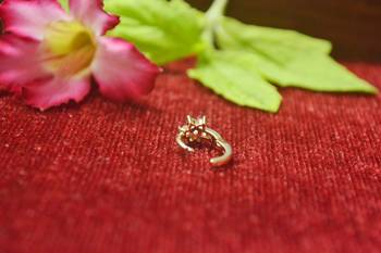  Charming gold floral diamond nose accessory clipon nosering or nosepin 3