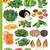 My Jumbo Vegetables Pictionary Picture Book Children Book by Ved Chawla 9789350890035