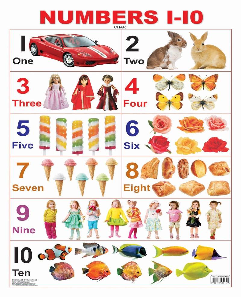 Numbers 110 Reference Educational Wall Chart by Dreamland Publications ...