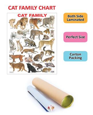 Cat Family Chart Reference Educational Wall Chart by Dreamland Publications 9788184513592 2