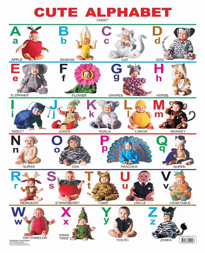 Cute Alphabet Reference Educational Wall Chart by Dreamland Publications 9788184511147