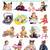 Cute Babies Reference Educational Wall Chart by Dreamland Publications 9788184511192