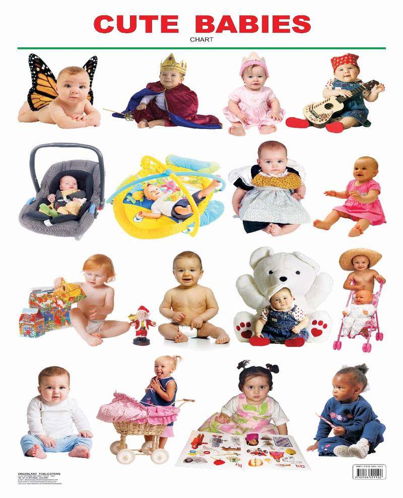 Cute Babies Reference Educational Wall Chart by Dreamland Publications 9788184511192