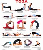 Yoga Chart 5 Reference Educational Wall Chart by Dreamland Publications 9788184516401