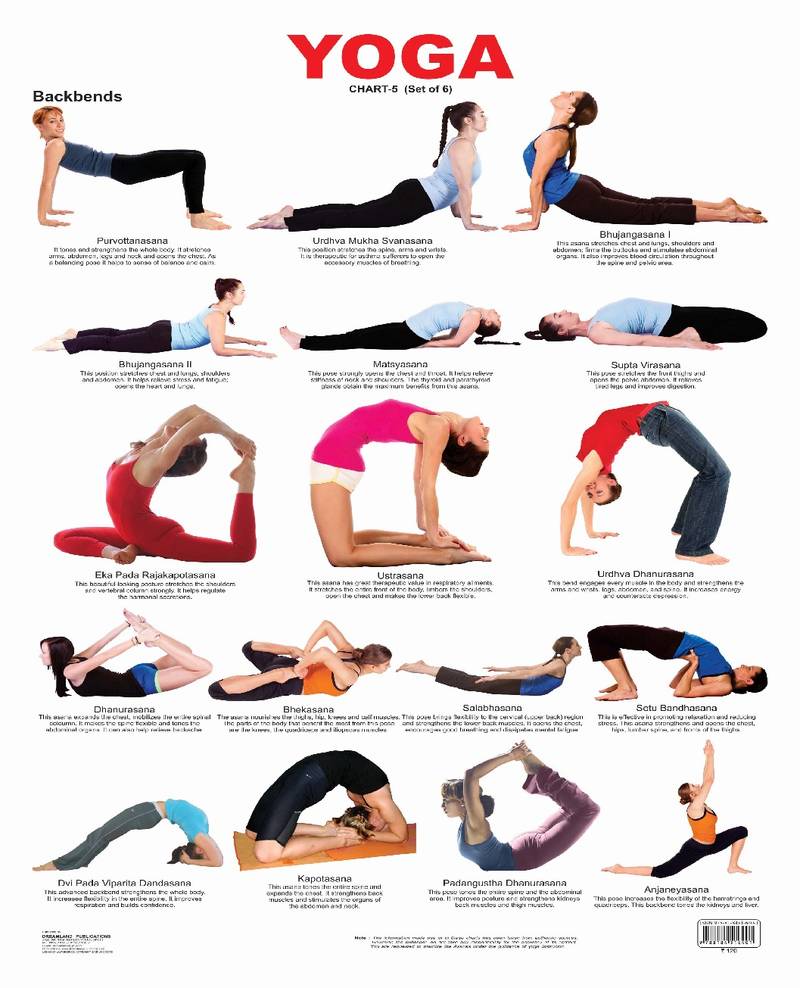 Yoga Chart 5 Reference Educational Wall Chart by Dreamland Publications 9788184516401