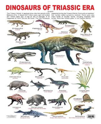 Dinosaurs of Triassic Era Reference Educational Wall Chart by Dreamland Publications 9789386671059 1