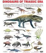 Dinosaurs of Triassic Era Reference Educational Wall Chart by Dreamland Publications 9789386671059