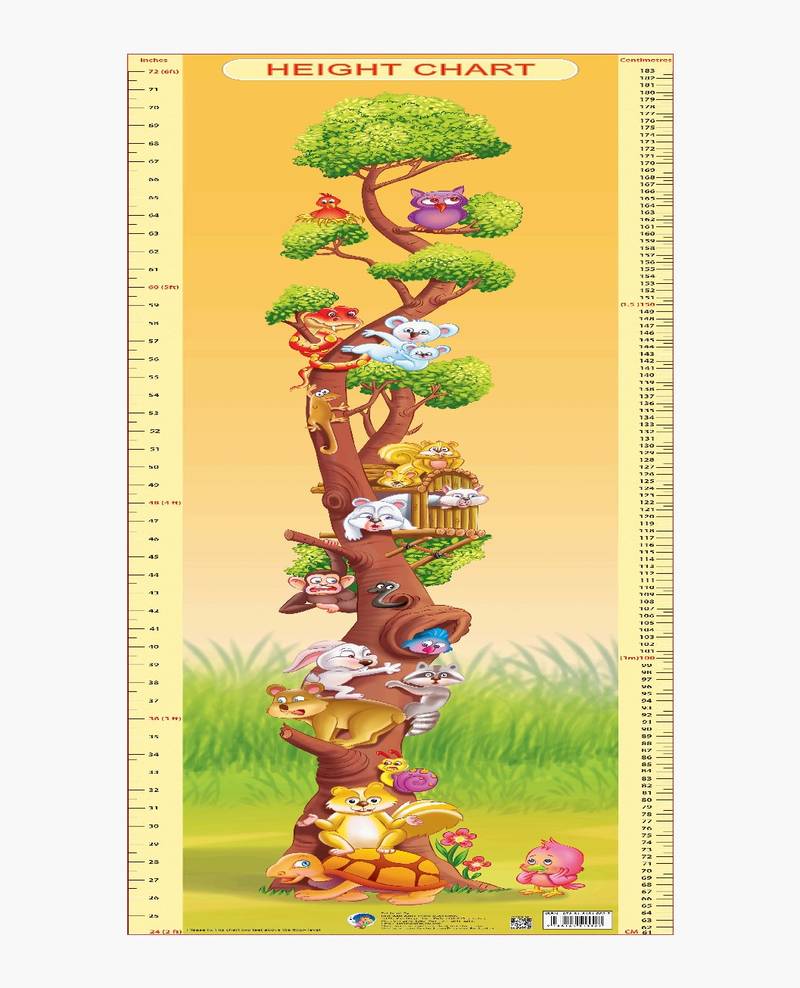 Height Chart 2 Reference Educational Wall Chart by Dreamland Publications 9788184515527