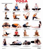 Yoga Chart 2 Reference Educational Wall Chart by Dreamland Publications 9788184516371
