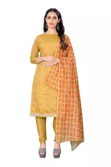 Beige embroidered chanderi salwar