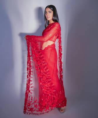 Hand Embroidered Red Floral Saree With Striped Sequin Blouse  7