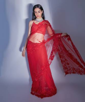 Hand Embroidered Floral Saree With Embroidered Bustier Blouse  1
